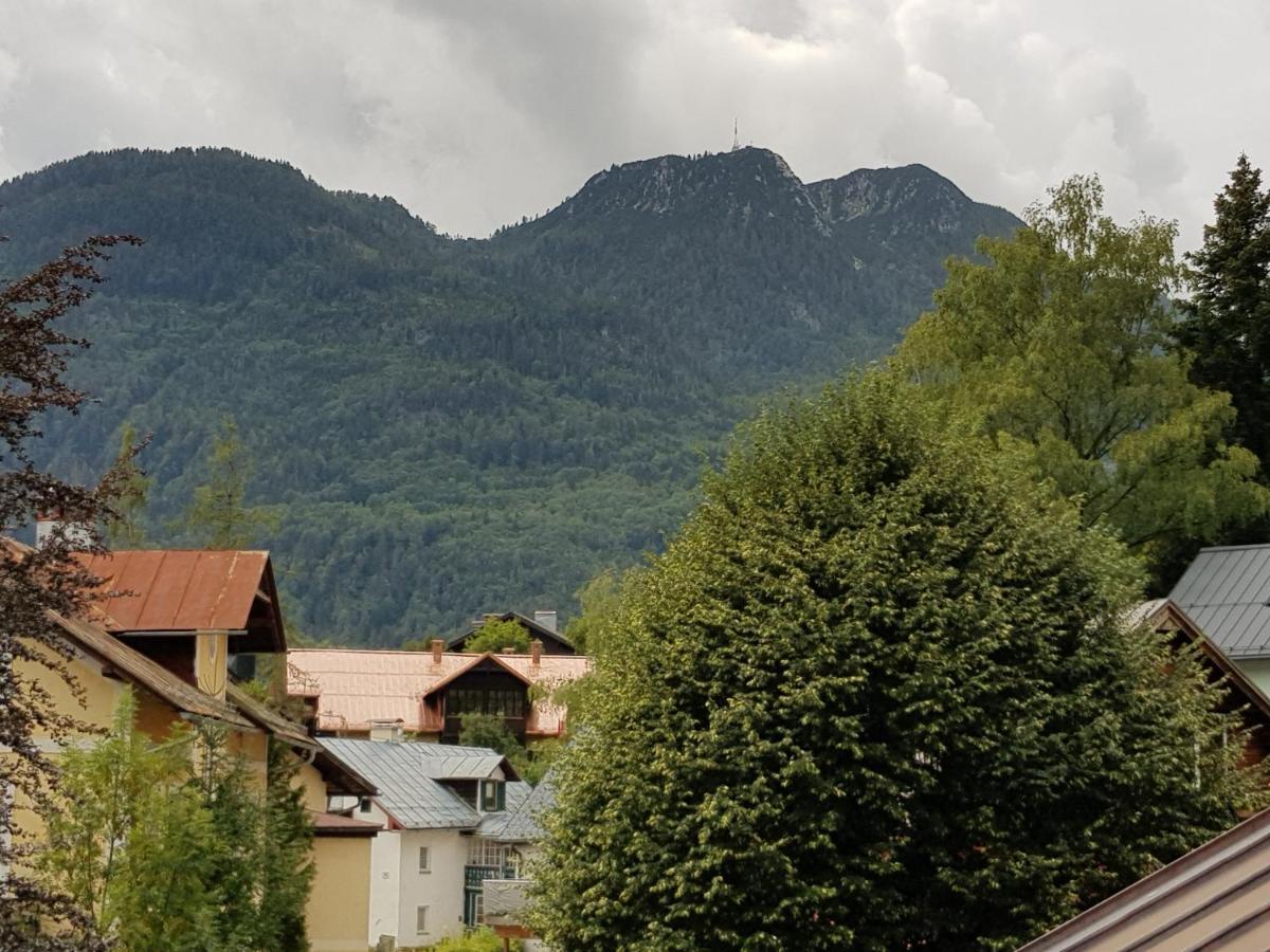 Villa Lilly - Luxus Appartements im Villenviertel Bad Ischl Extérieur photo